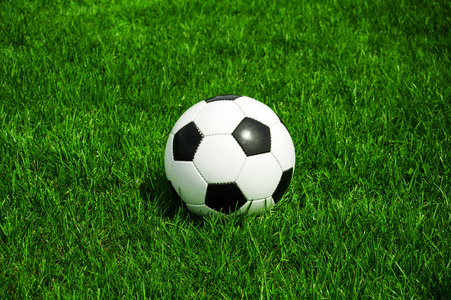 社交球迷互动交流场景